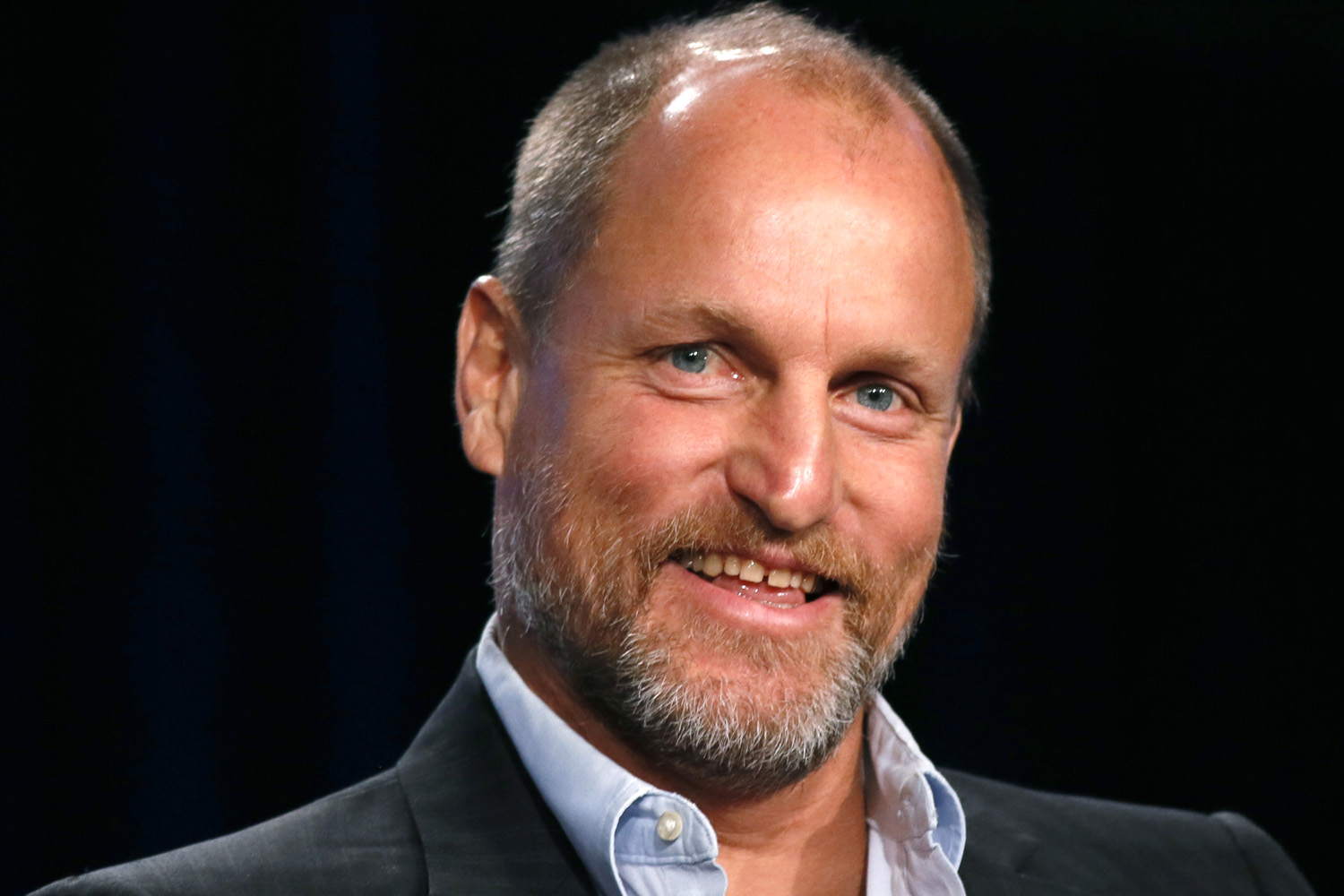 Actor Woody Harrelson talks about HBO's "True Detective" during the Winter 2014 TCA presentations in Pasadena, California, January 9, 2014. REUTERS/Lucy Nicholson (UNITED STATES - Tags: ENTERTAINMENT)