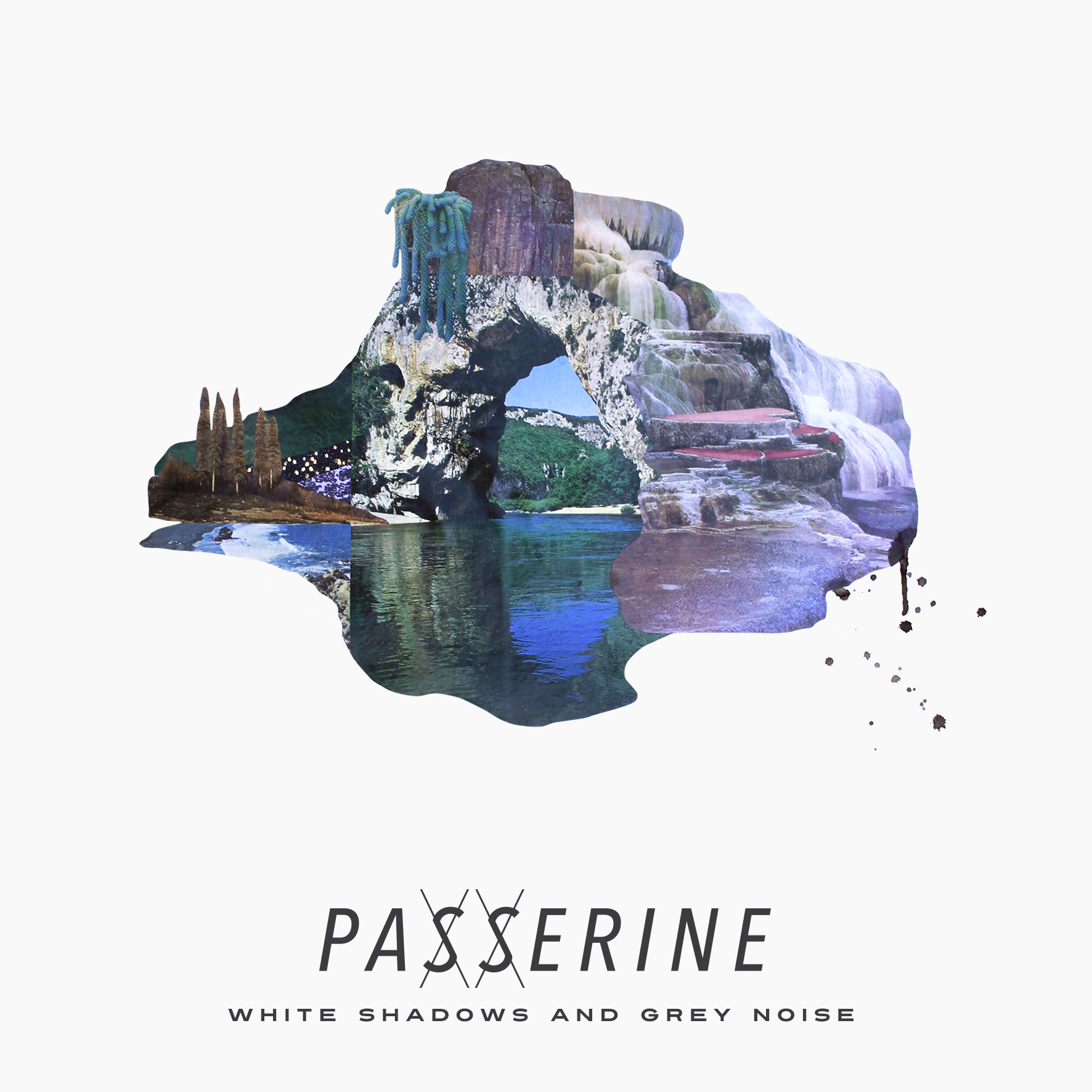 Passerine 16.08.2016ANDREW