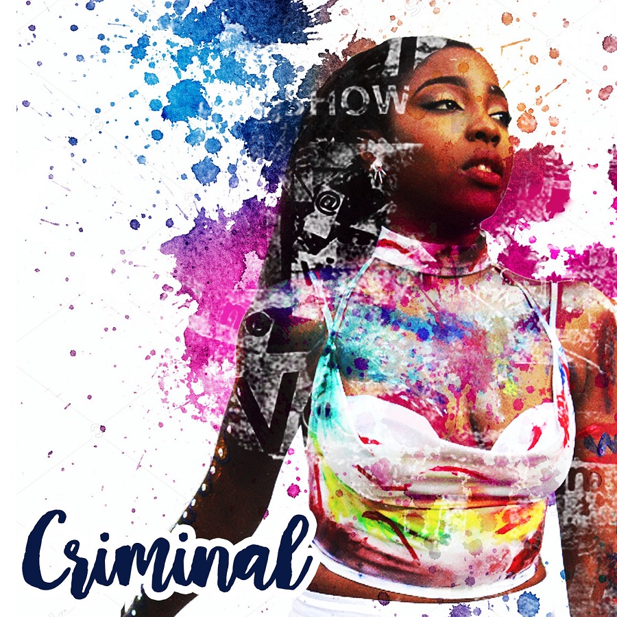 nissi-criminal-artwork