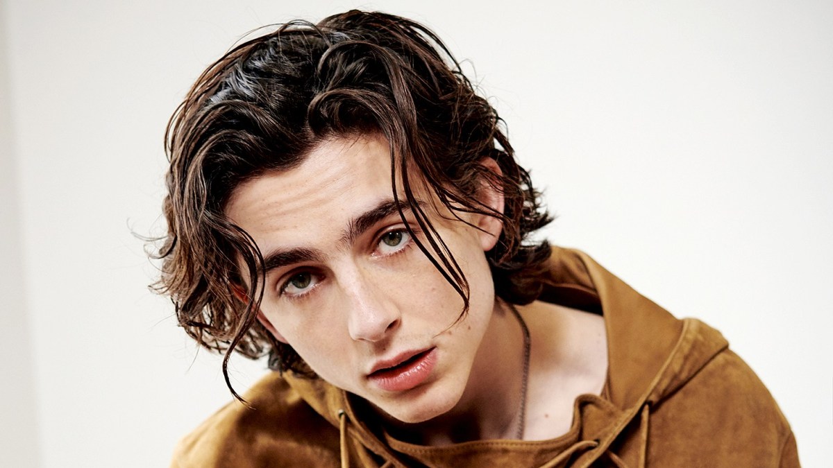 10 Actors to Watch: Timothée Chalamet Breaks Out In 'Call Me By Your Name'